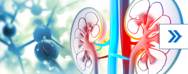 Ambulatorio Endocrinologia